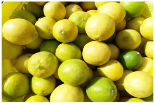 Lemon Price: ઉનાળા પહેલાં જ લીંબુના ભાવ આસમાને, જનતાનો છૂટી જશે પસીનો