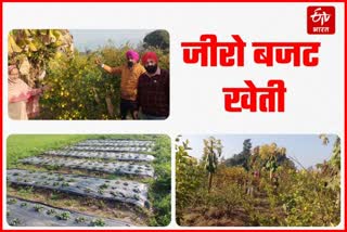 natural farming in Paonta Sahib