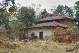 West Bengal Birbhum Patalpur village deserted by residents due to elephant attacks