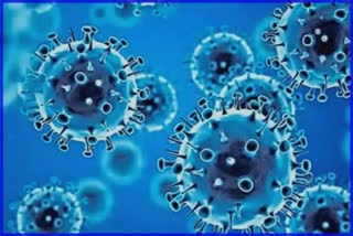 coronavirus update