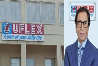 Uflex IT Raid
