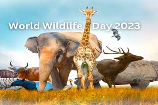 World Wildlife Day 2023