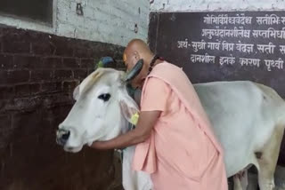 10-time increase in funds for Gau Sewa Aayog