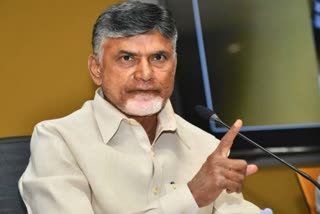 Telugu Desam Party President N Chandrababu Naidu