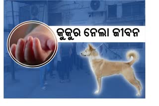 girl child dies due to dog attack