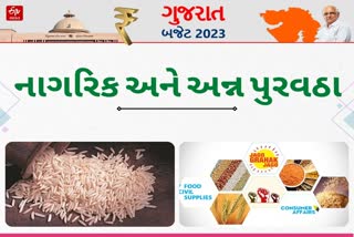 Gujarat Budget 2023 Big Announcements in Food and civil supplies