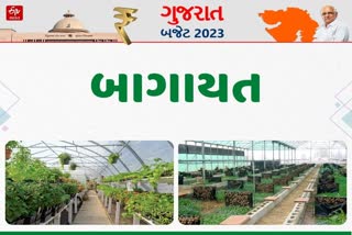 Gujarat Budget 2023: ગુજરાત બજેટ 2023 બાગાયતમાટે મોટી જાહેરાતો