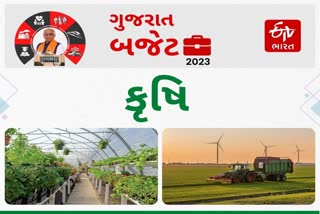 Gujarat Budget 2023 : બજેટમાં કૃષિ અને ખેડૂતો માટે 21,605 કરોડની જોગવાઈ, જૂઓ થઈ જાહેરાત