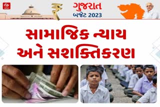 Budget 2023: દિવ્યાંગજનો, યુવાનો અને સિનિયર સિટીઝન્સને ફાયદો જ ફાયદો