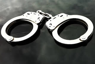 police arrest fraudster