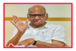 Sharad Pawar News