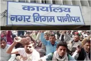 panipat municipal corporation employees strike employees Protest in panipat latest news