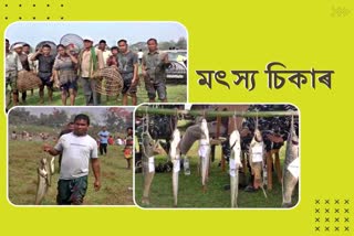 Traditional fish hunting festival