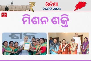 Odisha Budget 2023