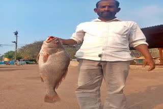 Karwar beach