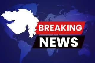 GUJARAT BREAKING NEWS : રાજકોટ નજીક શાપર વેરાવળમાં શ્વાનનો આતંક