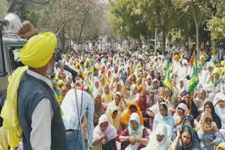 Farmers laborers protested in Mansa