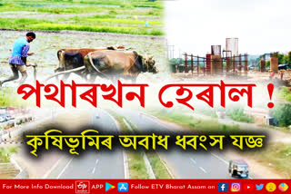 Agricultural land of Assam is declining alarmingly