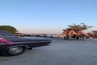 Bridegroom rides a bullock cart while bride joins procession with a fleet of luxury cars