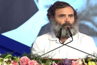 rahul gandhi at congress session in raipur