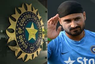 harbhajan-singh-demands-separate-t20-coach-for-team-india