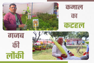 Pantnagar Kisan Mela