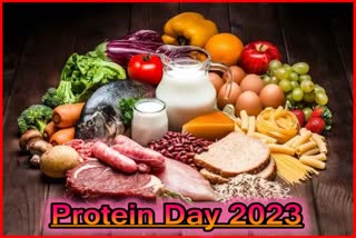 Protein Day 2023
