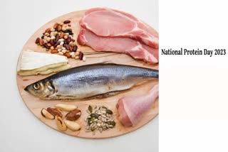 NATIONAL PROTEIN DAY