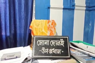 Budhakhali Gram Panchayat ETV Bharat