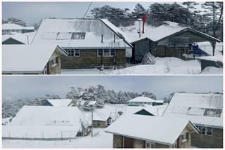 Snowfall in Darjeeling Sikkim