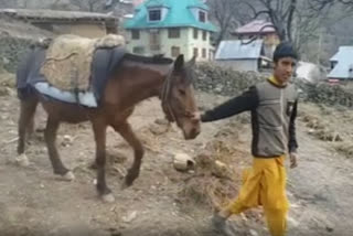 Kashmir border residents thank government for peaceful life after ceasefire agreement