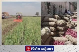 Onion Market Price : 'આપઘાત કરશે તો મોદી સાહેબને પાપ લાગશે' ખેડૂતની રોષભરી વ્યથા છલકાઇ, ડુંગળી ખેડૂતોની દશાનો ગ્રાઉન્ડ રીપોર્ટ