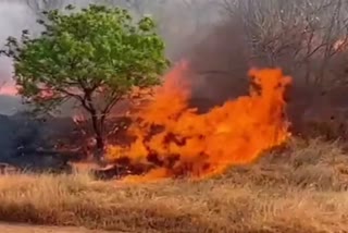 Fire accident at Kalaburagi Central Vv