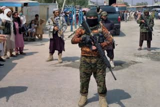 Official Taliban forces kill 2 IS members in Kabul raid