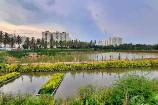 Maragondanahalli lake