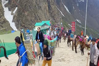horses and mules in Kedarnath