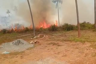 Fire in agricultural field  പുല്ലൂര്‍ ഊരകത്ത്  ജോലിക്കാരന്‍ പൊള്ളലേറ്റ് മരിച്ചു  Thrissur news  fire accident in Thrissur  fire gutted agricultural field visuals  പുല്ലൂര്‍ ഊരകത്ത് പറമ്പിലെ തീപിടുത്തം  തൃശൂര്‍ വാര്‍ത്തകള്‍