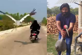 man stork friendship