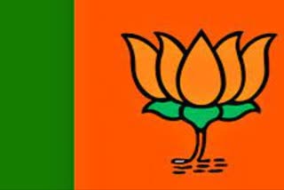 Raipur district executive of BJP Announced