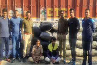 Illegal doda sawdust worth Rs 45 lakh seized in Chittorgarh, two arrested