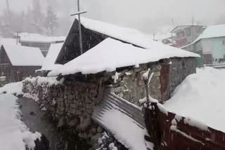 किन्नौर में मार्च के पहले दिन हिमपात