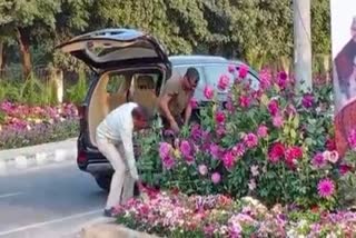 Man robs Flower pots  Man robs Flower pots on luxury car  Police arrested  G20 Foreign Ministers Meet  Police Caught accused  ആഡംബര കാറിലെത്തി ചെടി ചട്ടി മോഷണം  ചെടി ചട്ടി മോഷണം  വീഡിയോ പ്രചരിച്ചതോടെ മോഷ്‌ടാവ് അറസ്‌റ്റില്‍  വാഹനവും പിടികൂടി  വിദേശകാര്യ മന്ത്രിമാരുടെ ജി 20 ഉച്ചകോടി  ജി 20 ഉച്ചകോടി നടക്കുന്ന വേദി  ചെടി ചട്ടി മോഷ്‌ടിച്ച സംഭവം  വാഹനം പിടികൂടി ചെടി ചട്ടികളും വീണ്ടെടുത്തു  ഗുരുഗ്രാം  വിദേശകാര്യ മന്ത്രി  വേദി അലങ്കരിക്കാന്‍ സൂക്ഷിച്ച ചെടി