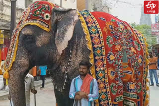 மதுரை மீனாட்சி அம்மன் கோவில் யானனக்கு உடல் நலக்குறைவு