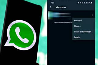 WhatsApp report status update feature