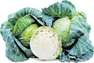 farmer-got-rs-1400-for-selling-25-sacks-of-cabbage-in-himachal-pradesh-1800-rupees-were-spent-to-reach-the-market