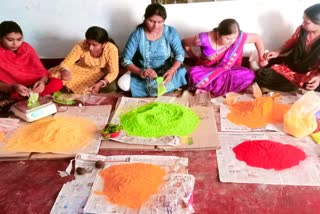 HERBAL GULAL IN DURG HOLI