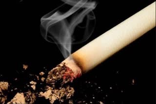 Cigarette ETV Bharat