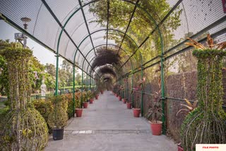 Ahmedabad Gardens: શહેરના તમામ ગાર્ડન હવે રાત્રે 12 વાગ્યા સુધી ખૂલ્લા રહેશે