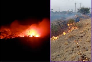 Fire in Palitana Hill : કદંબગીરીમાં સિંહોના ઘરમાં આગ, વનવિભાગે જાનહાનિની ચકાસણી કરી ફાયરલાઈન બનાવવી શરુ કરી
