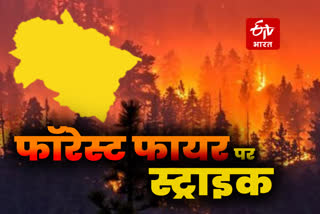 Uttarakhand Forest Fire